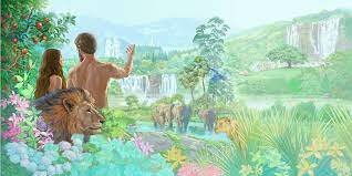 DIOS CREA EL UNIVERSO Y TODO LO QUE HAY EN ÉL