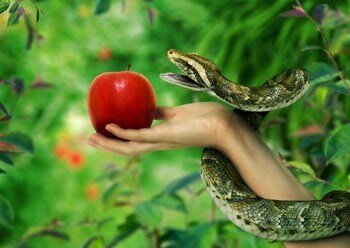 ADÁN - EVA Y EL FRUTO