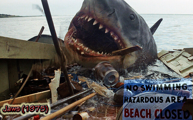 The Success of JAWS