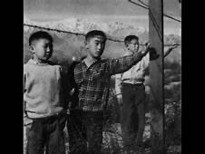 Executive Order 9066 passed