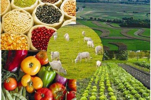 La estructura agraria