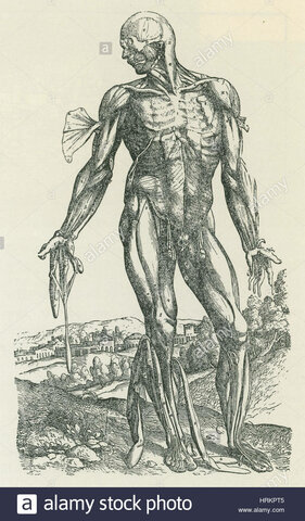 Avances científicos