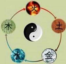 MEDICINA TRADICIONAL CHINA