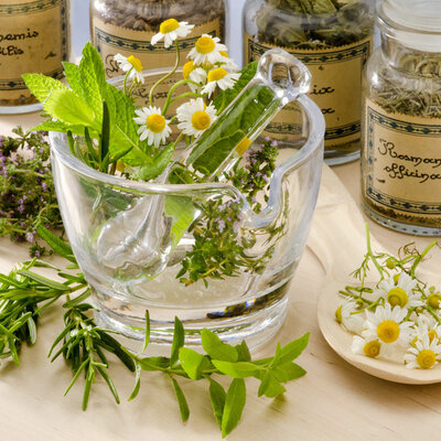 Timeline: Línea del Tiempo Terapias Naturales.