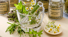 Timeline: Línea del Tiempo Terapias Naturales.