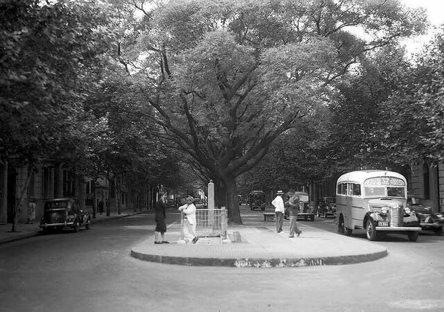 se da nombre a la avenida Rivadavia