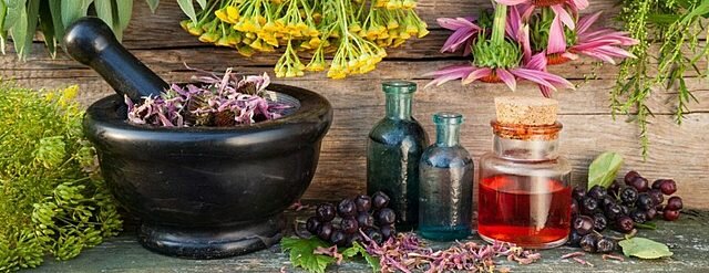 1892 Naturopatía - Orígenes