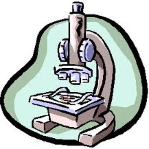 Anton Von Leeuwenhoek invented first microscope