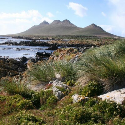 Timeline: Islas Malvinas