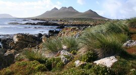 Timeline: Islas Malvinas