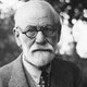 La verdad sobre sigmund freud las leyendas que circulan sobre el son delirantes