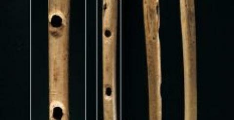 La música empezó hace 35.000 años