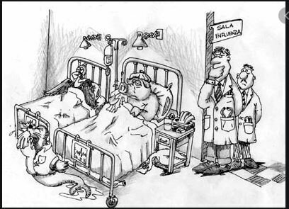 Epidemia de influenza o mejor fiebre muculosa  de las Montañas Rocosas