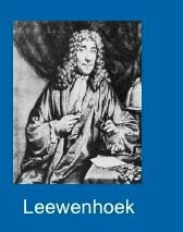 Anton Van Leeuwenhoek