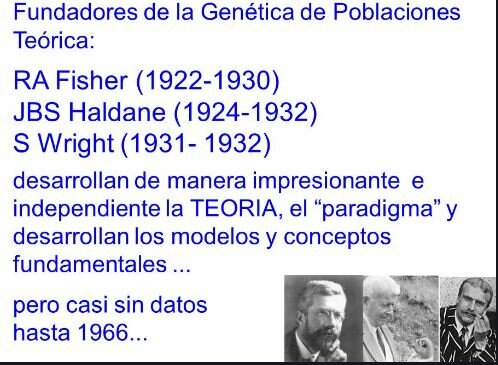 Sentaron las bases de la genética de poblaciones,