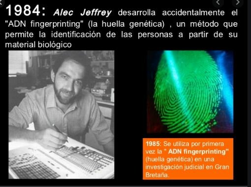 Se  desarrollada accidentalmente el "DNA la huella genética