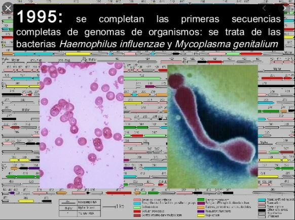 Se completan las primeras secuencias completas del genomas de organismos: