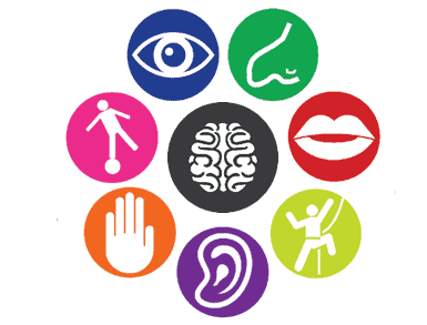 Stade d'enfance (0-12 ans) développement sensorielle