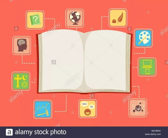 Se logra la "clasificación" de asignaturas o ejes de formación, definiendo sus objetivos metodológicos y conceptuales.