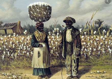 DEMANDA EN TEJIDOS DE AGODON