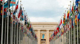 Timeline: LOS DERECHOS HUMANOS