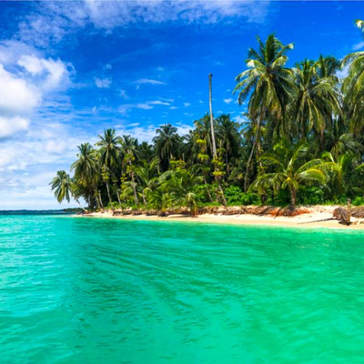 Timeline: Linia del temps Maia Martínez i Queralt Escutia