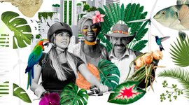 Timeline: Línea del tiempo de la psicología Comunitaria en América Latina