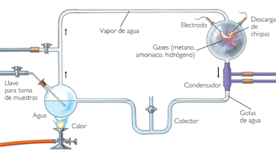 Teoria d'Oparin i Haldane, origen de la vida: química