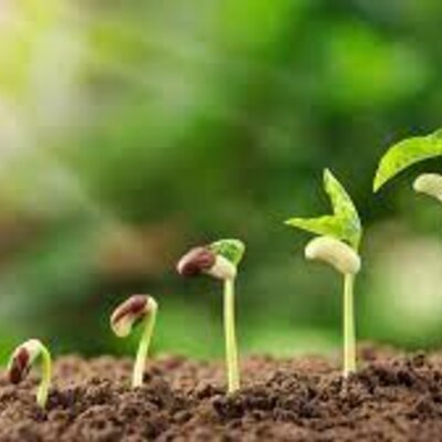 Timeline: Teories de l'origen de la vida