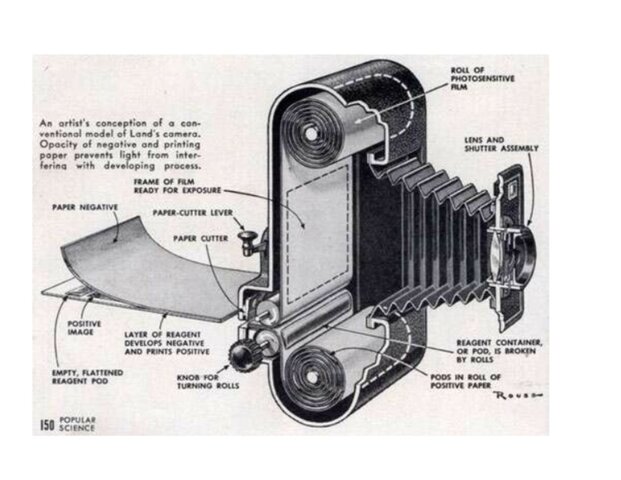 Polaroid Instant Camera