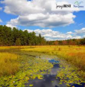 New Jersey