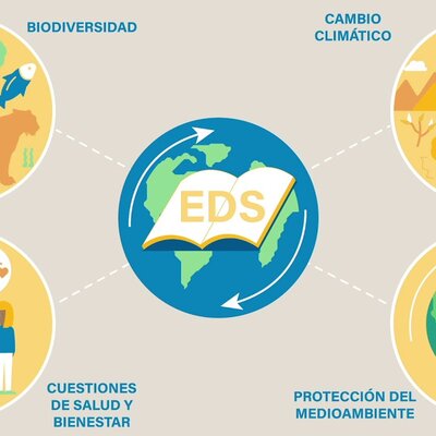 Timeline: LÍNEA DE TIEMPO DE LA EDUCACIÓN PARA EL DESARROLLO.