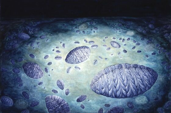 1st most complex life forms   9:07