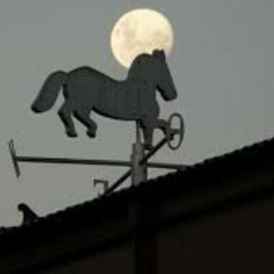 Timeline: linea de tiempo de caballito