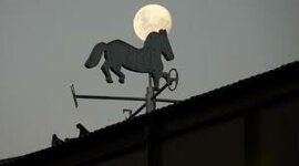 Timeline: linea de tiempo de caballito