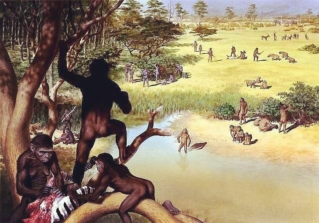 1st hominids   23:53