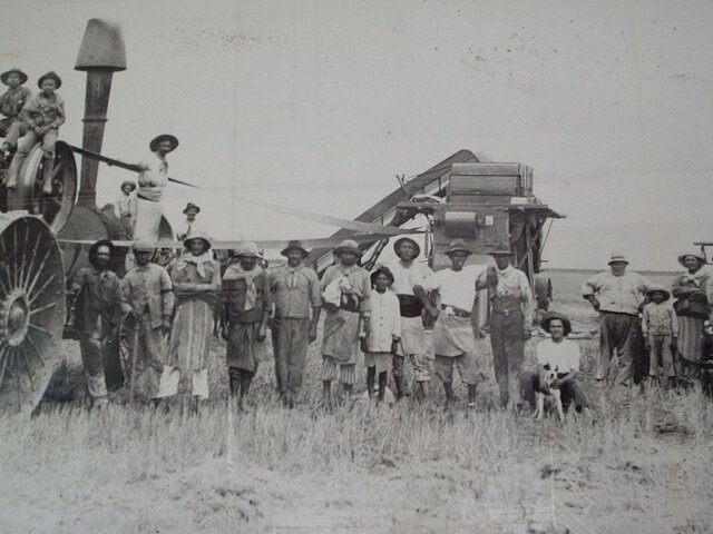 La Organización de las Naciones Unidas (Migración)