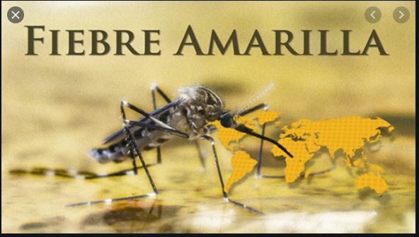 LA TEORÍA DEL MIASMA