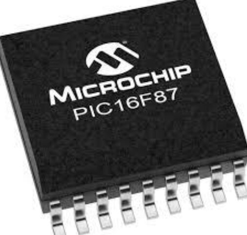 Microchip