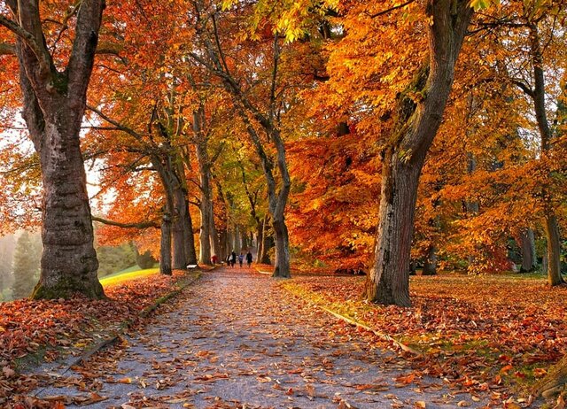 Primo giorno d'Autunno