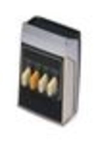 Remote Control is invented.