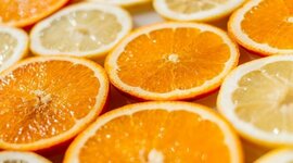 Timeline: GERMINACION SEMILLA DE NARANJA 1103