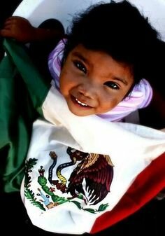 Reforma de planes y programas educativos