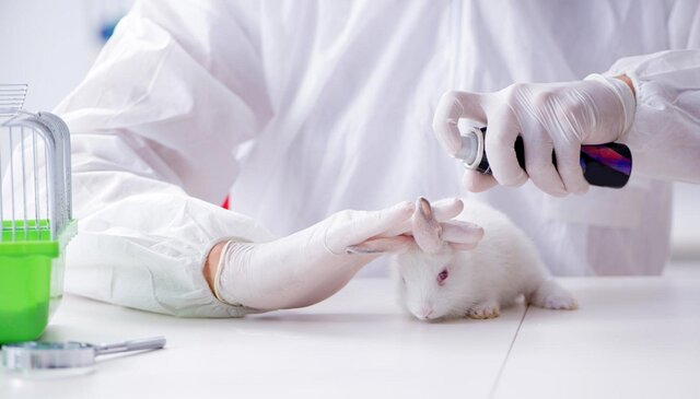 ¿Cómo se realiza el testeo en animales?