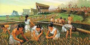 Descobriment de l'agricultura