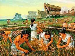 Descobriment de l'agricultura