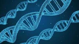 Timeline: Bruk av bio- og genteknologi opp gjennom tidene