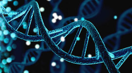 Timeline: Bioteknologi