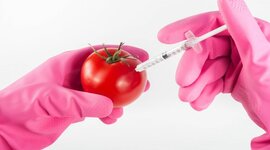 Timeline: Bioteknologi