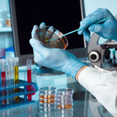 Timeline: Bioteknologi